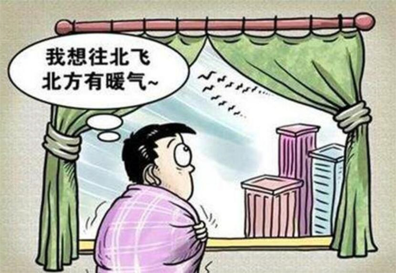 空调|四波寒潮先后来袭，家中取暖成“大事”，网友：选空调还是暖气？