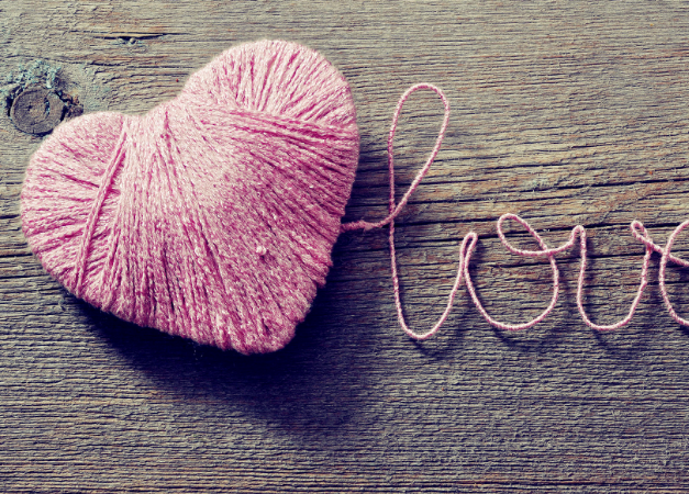 昆虫 生命却是活着的，生命的传承与发展，意味着无限的可能