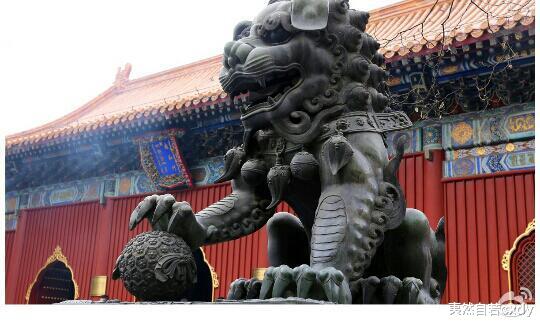 夷然自若cxdy|不慕菩提道场，也可步步莲花，句句禅意