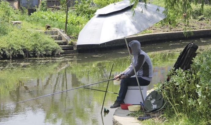 |巧用鸡羽毛梗，解决钓鱼大问题