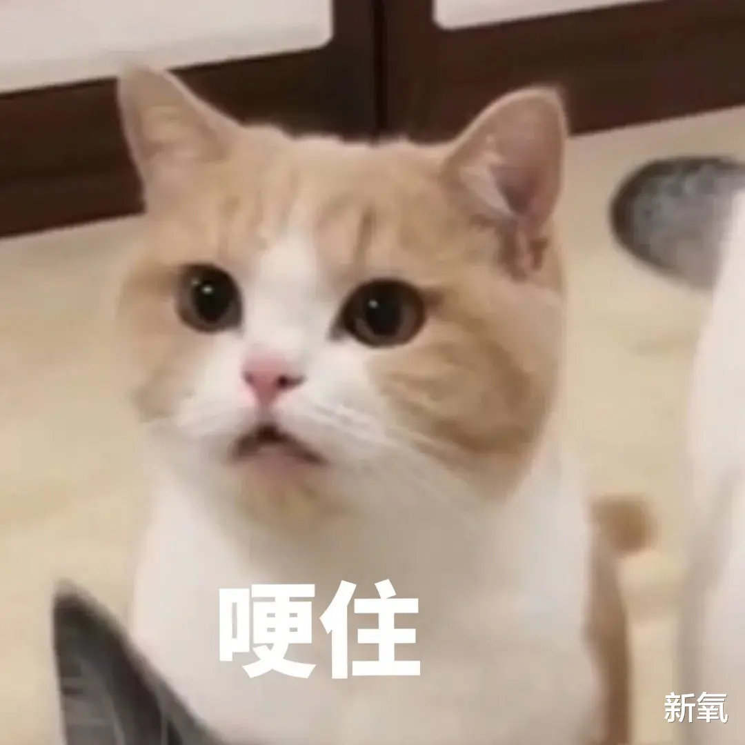 乔欣|乔欣瘦出新高度：你的焦虑，正在毁掉你的身材