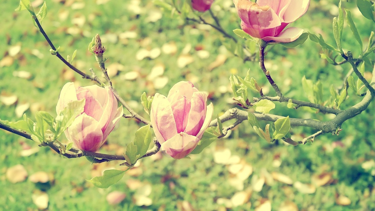 遇见小媛|真正爱一个人,就要学会相互成全