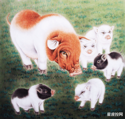 星座控网|农历七月开始，逢凶化吉，平安顺利，不见小人遇贵人的四大生肖