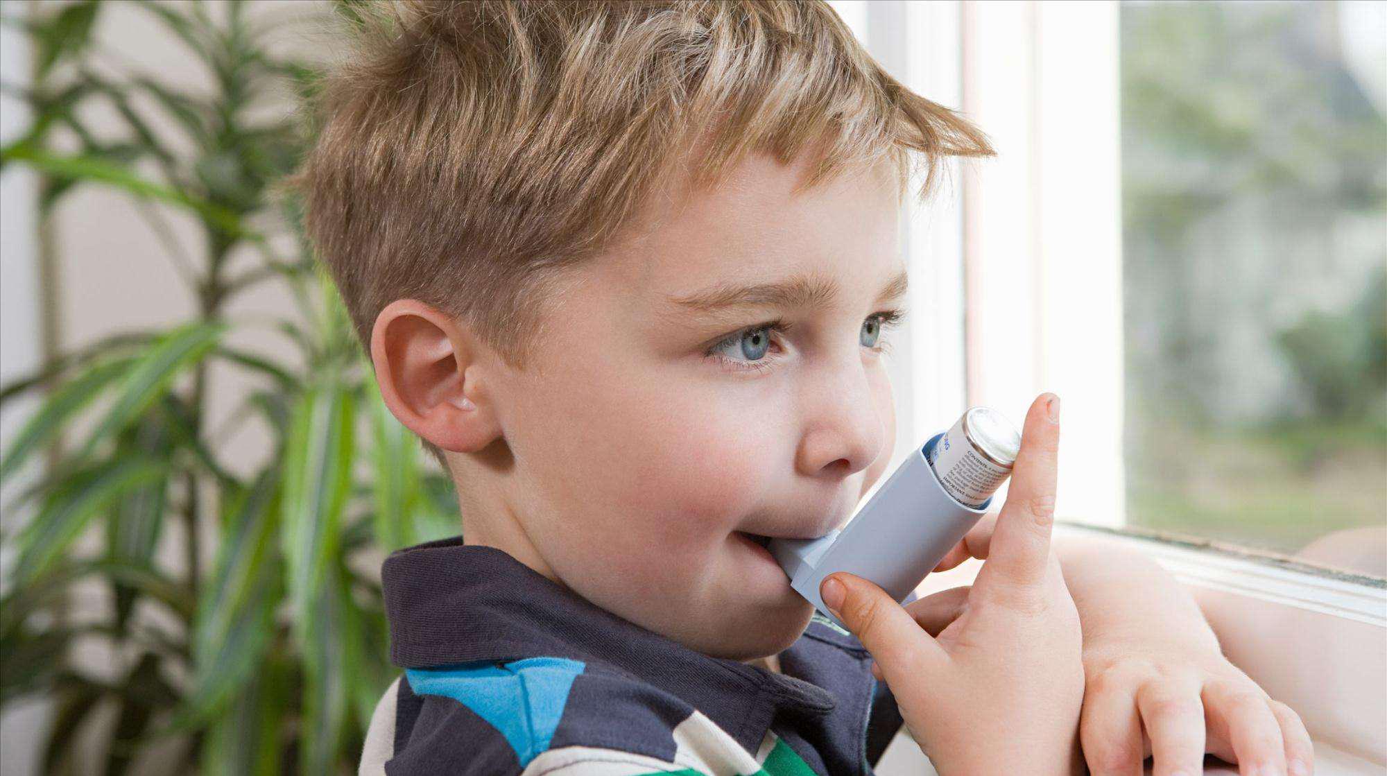 维生素D|什么是过敏性体质？过敏性体质是怎么由来的？这些常识要有所了解