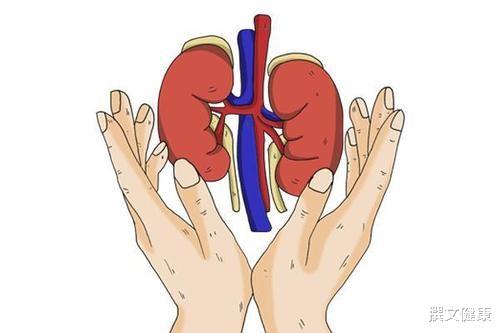 血糖|尿酸升高，身体会给你发出5个提示，警惕肾结石！医生建议：学会这3招，尿酸不再高