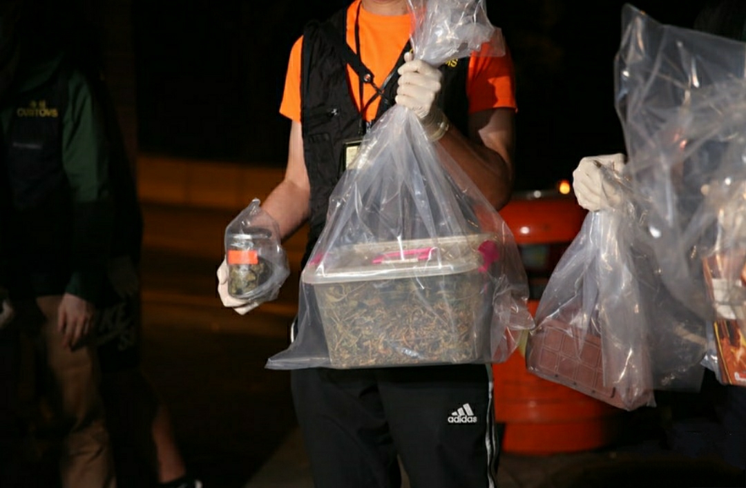 吴耀汉|81岁老戏骨出事了，女儿家里搜出价值百万大麻，种产销一条龙