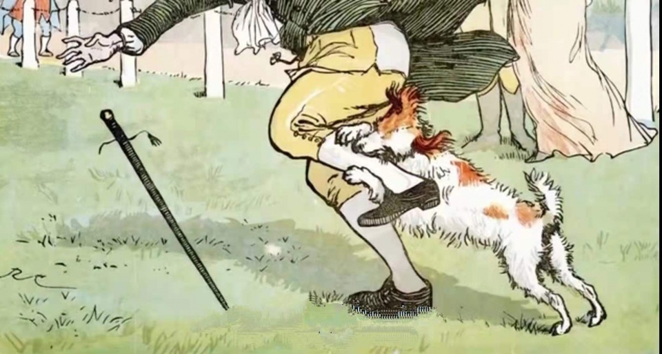 狂犬病|伴随人类几千年的狂犬病,到底有多可怕?