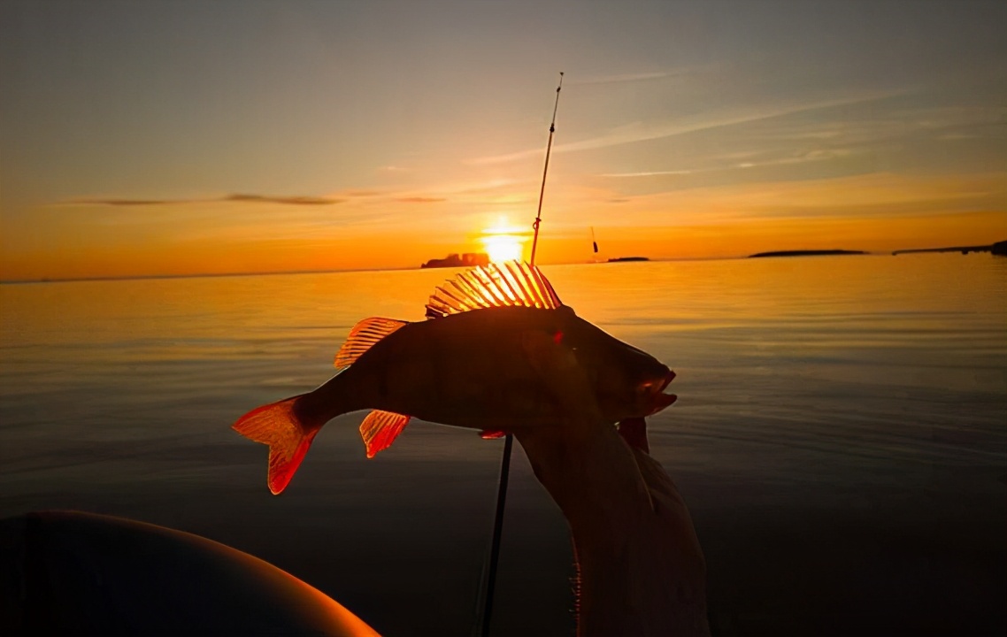 |靠谱打窝诱鱼技巧,这样打窝效果翻倍,助你连竿不断——盛世三渔