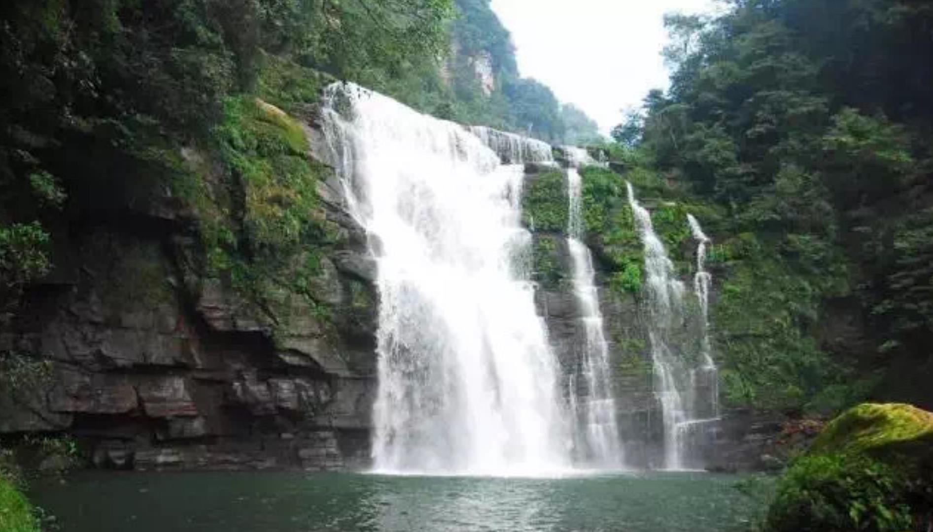 长脖子爸比说|成都纳凉胜地：4大“冷”门地，开启酷爽模式！