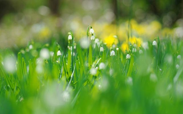 |今年3月有发财好运降临的3个属相，满眼好光景，日子更富裕！