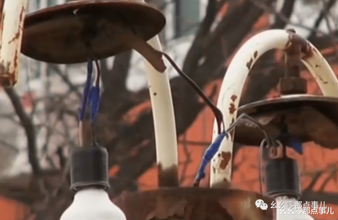 幺幺零那点事儿 北京这个小区太过分！雨天路灯漏电当场电死狗，物业却这样表态