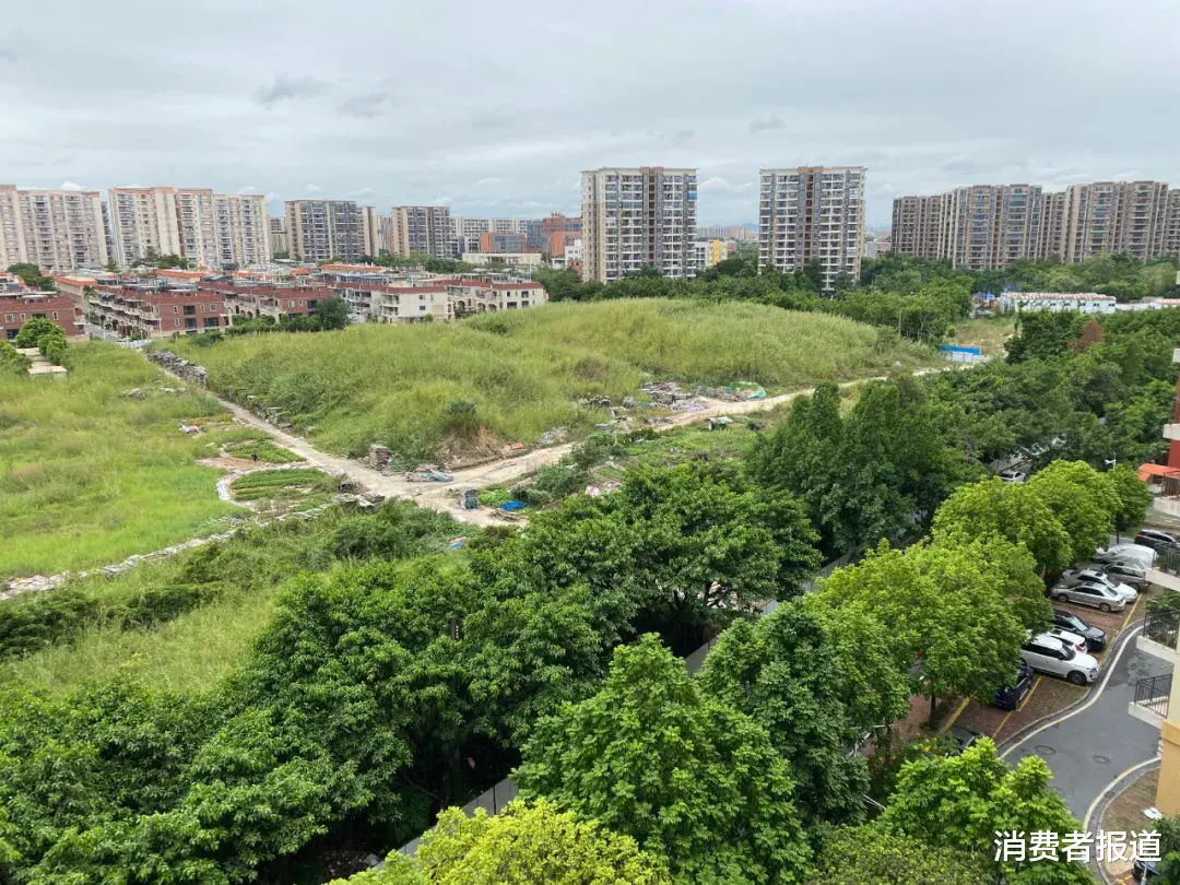 别墅|合和新城小区空地“闲置”近20年，业主质疑开发商擅将别墅变洋房