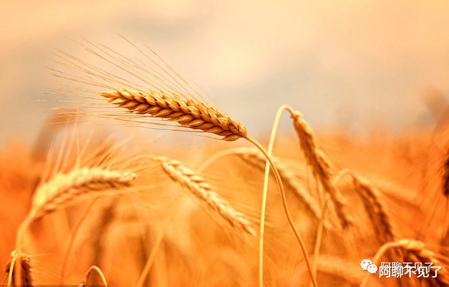 |职场定律,要么干,要么滚,不要混!