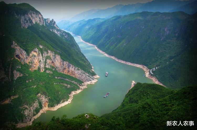 |雨后野钓遇怪鱼，既不敢吃也不敢放，网友：外来物种，老值钱了