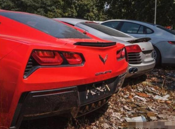 小树林里停满豪车,看到车牌没人敢捡,网友:我不想惹麻烦