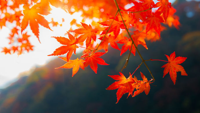 蛋白质 主要气候类型，最恶劣的气候只下雪不下雨，风速360千米每小时