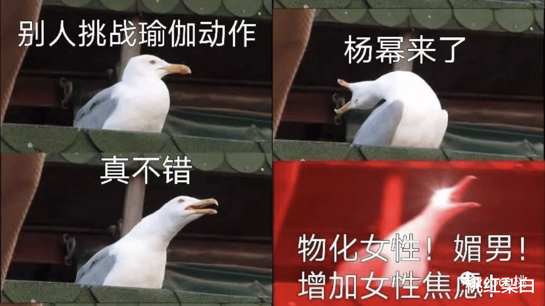 杨幂|真不愧是话题女王！有杨幂在的地方，瞬间就能掀起“腥风血雨”