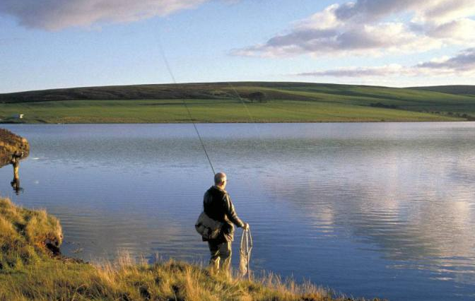 饵料|夏季垂钓，只要这五点做出改变，鱼获不是问题！——盛世三渔