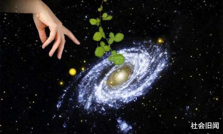 人类一直苦心寻找外星人,殊不知种种证据表明,或许我们才是外星人