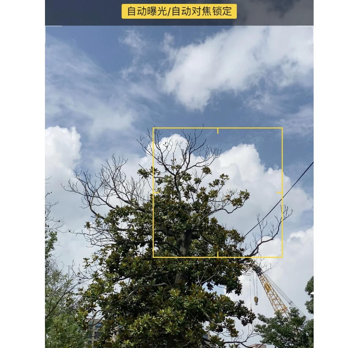 MIUI|iPhone手机不会用等于白买！这5个隐藏冷知识，小技巧但有大用处