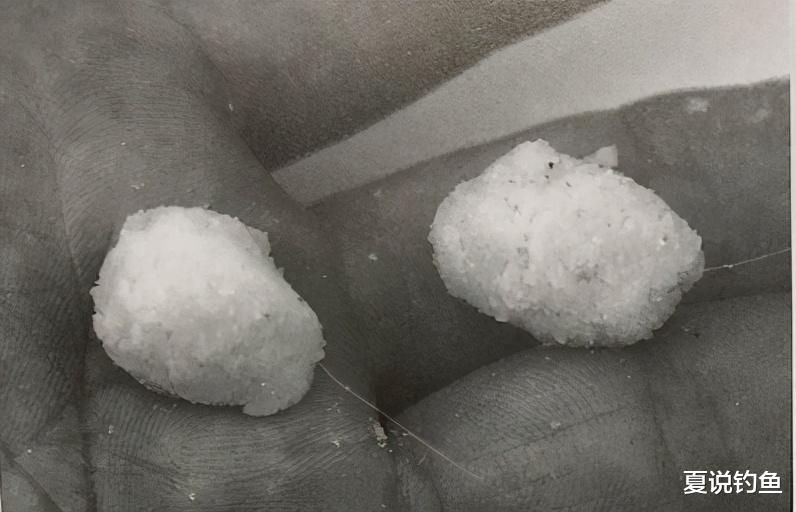 日本|[ 鲫鱼钓 ] 日本鲫鱼的习性和垂钓方法，非常值得借鉴钓法