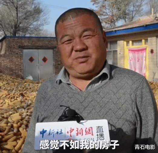 设计师|132万红砖房的4大槽点，一个比一个离谱，陶磊会为它“脸红”吗？