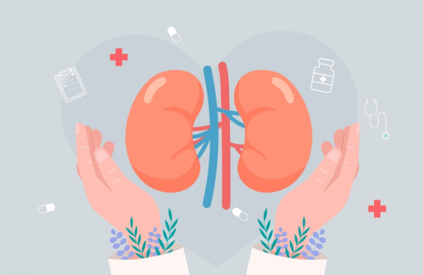 肾衰竭|解除肾衰竭威胁的方法，肾友须知：保肾还需“三步走”