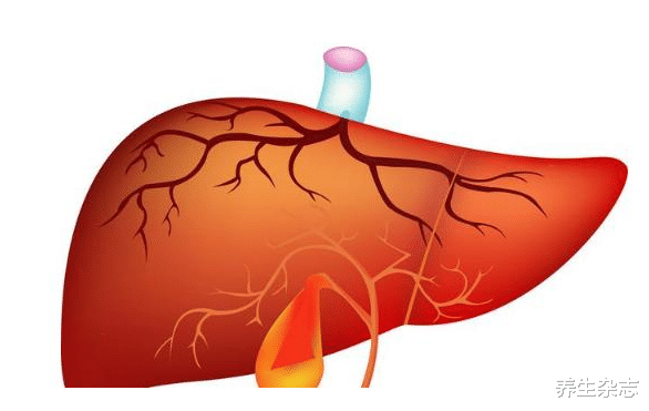 番茄|吃一口等于10斤番茄，退休老中医：平时经常吃，肝会很高兴