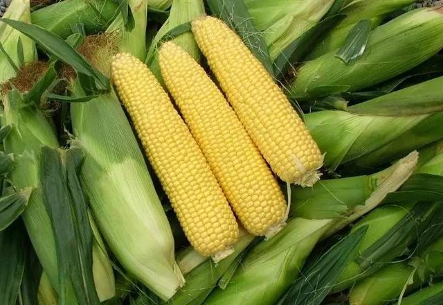 铠甲护士|“甘油三酯大户”或已公布，50岁以后，这几种食物或要少碰