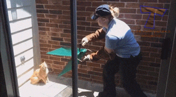 动物庄园|老婆被公司安排出差,她说酒店环境很好,我该怎么提醒她注意安全?