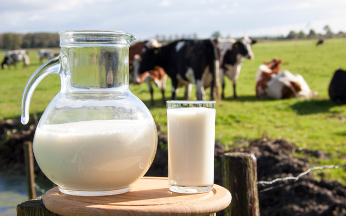 补钙|4种食物专跟骨头抢钙,越吃骨越脆!真正的“补钙果”“补钙菜”是……越早吃越好