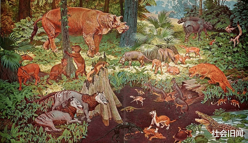 巨蟒 史前地球因高温孕育出泰坦巨蟒，如今这种局面可能再次出现