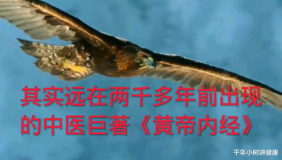 世上最好的东西