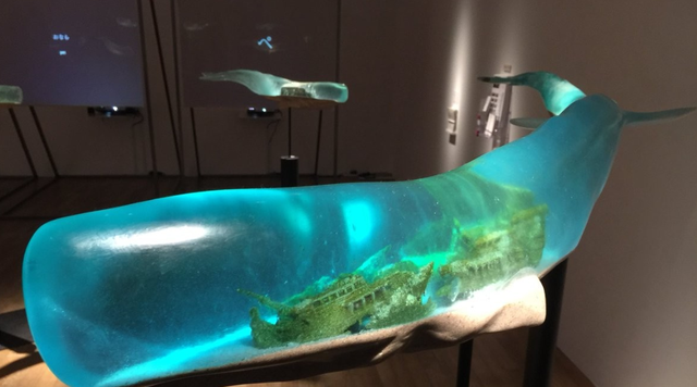 章鱼 你见过在海面悬浮的船吗？15张罕见趣图让人眼前一亮，一睹为快！