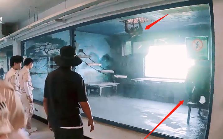 花匠小美|姚导眼光太好，《嗨放派》收视拿第一，任嘉伦王嘉尔出场太有梗