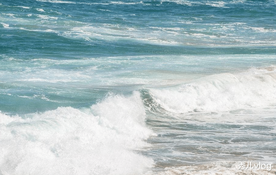 秀儿vlog 一年四季，可见满山花木，清风徐来，漫山绿色涟漪