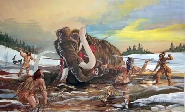 太阳系 人类为什么吃食草动物的肉,却不怎么吃食肉动物的肉?看完涨知识