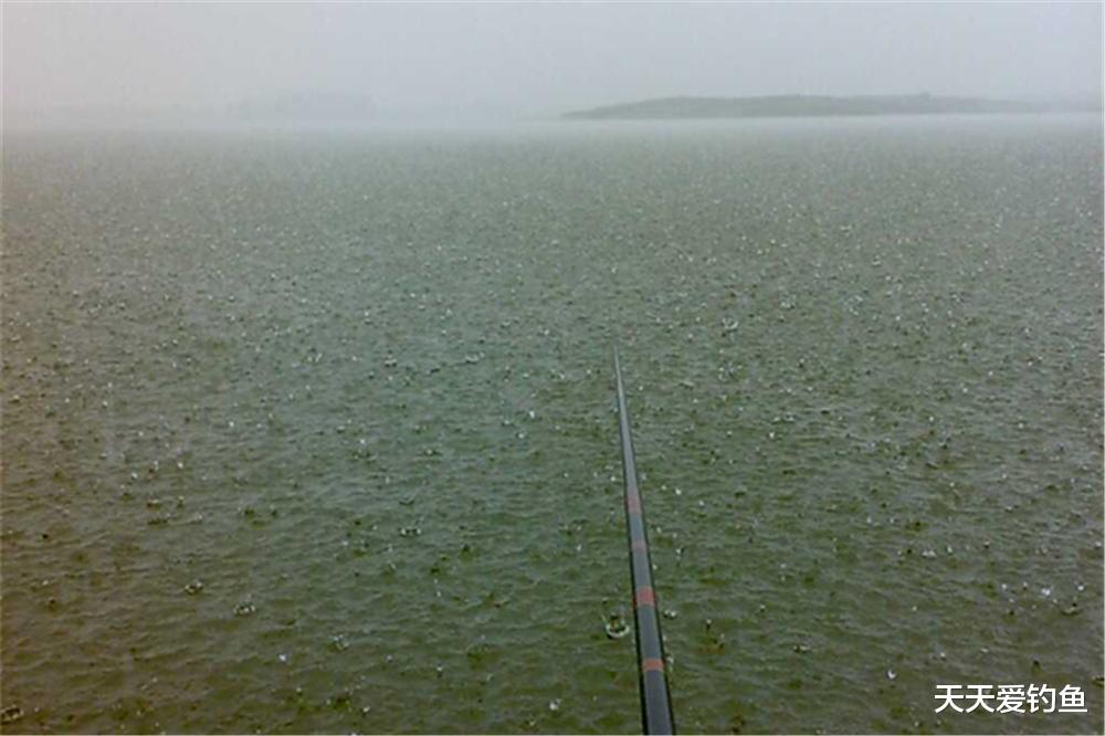 |夏季高温鱼难钓，避开这4种天气，远离这4种钓位，不然十有九空