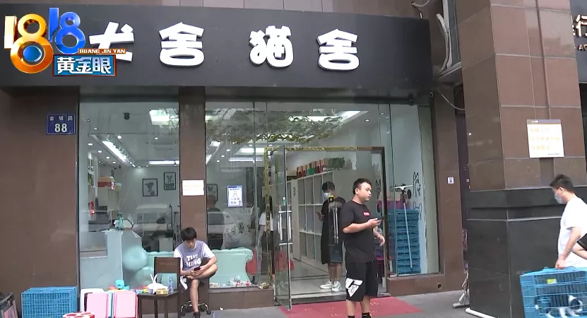 杭州 消费者怀疑买到“星期猫”，找上门发现是“老朋友”了