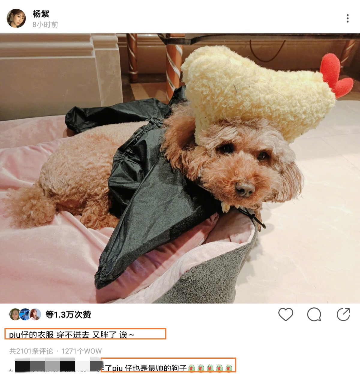 杨紫|杨紫发文：穿不进去，又胖了，唉