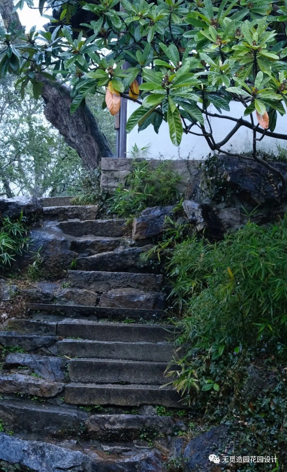 ?无觅造园：庭院植物种得好，旺宅聚气风水佳！