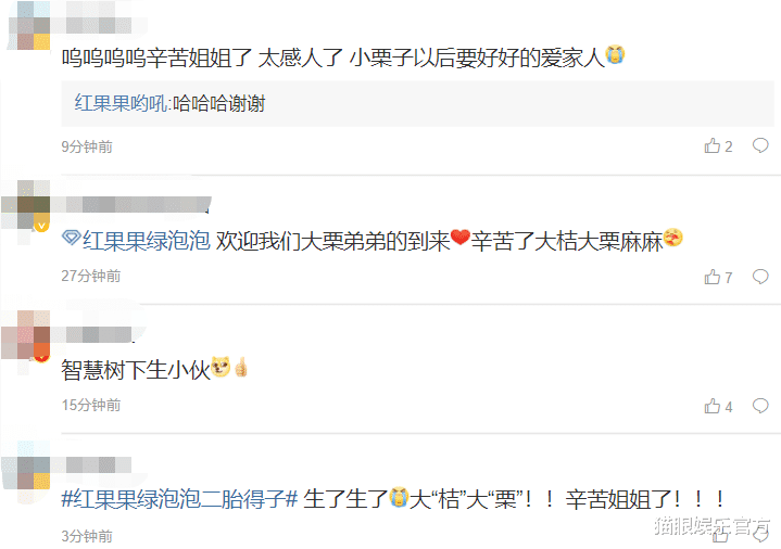 绿泡泡|央视主持人红果果生子！首曝二胎儿子正脸照，小脸圆润像极绿泡泡