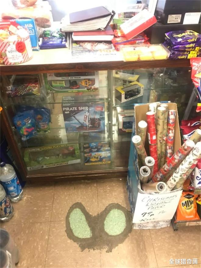 全球猎奇菌 32张照片告诉你，时间的力量有多恐怖