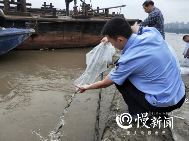 慢新闻 查获160余人、打掉团伙12个 重庆警方通报一季度打击非法捕捞成绩单