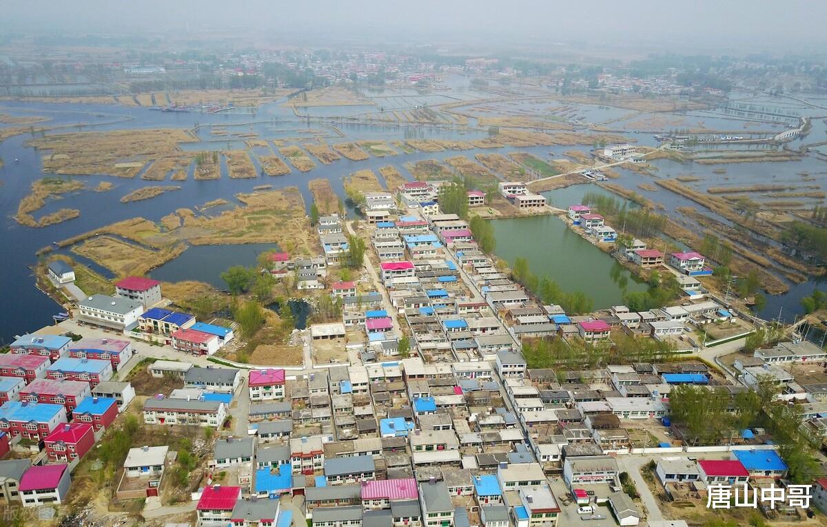 学区房|为何唐山的地产公司都没有走出唐山？可能和这两个原因有关