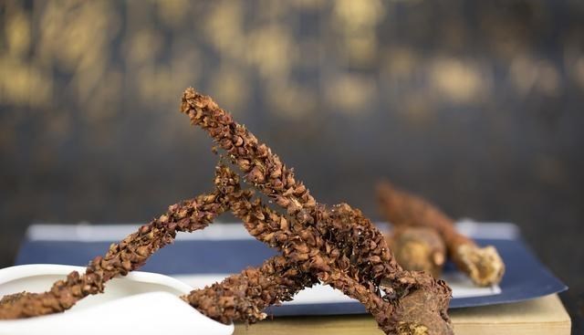 千帆落叶 寄生在赤杨根上的一种草，被大肆地人为采挖，如今成了保护植物