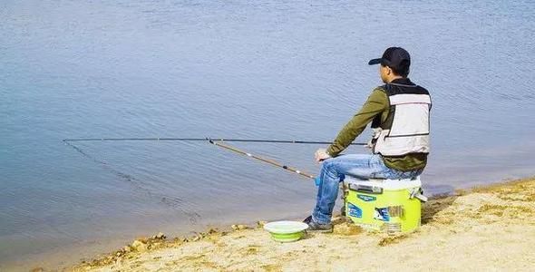 外卖员|《杂阒集》第三篇 黑色猫咪