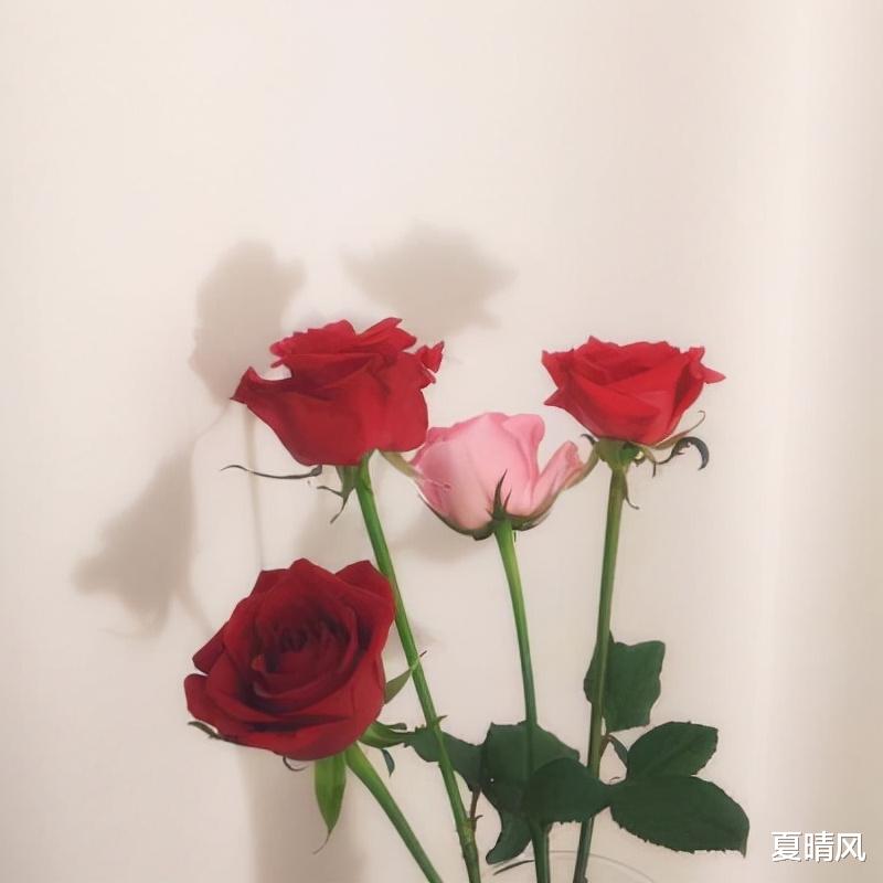 夏晴风 男人不爱你，会有的表现