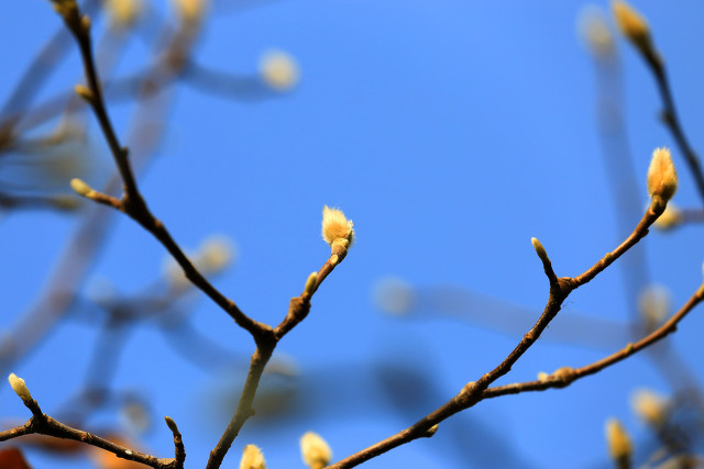 我喜欢你恩|老年人出轨是什么感受？63岁阿姨：很刺激，但这浑水，别蹚