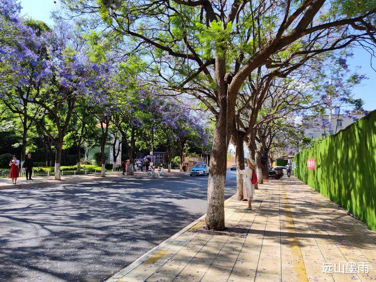 远山墨雨 盘点时下昆明最热的网红打卡地，教场中路的蓝花楹，定会榜上有名